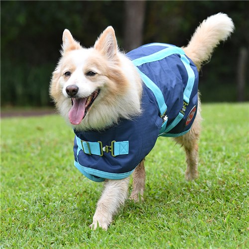 Thermo Master Supreme Dog Coat - Navy/Baby Blue - Image 4