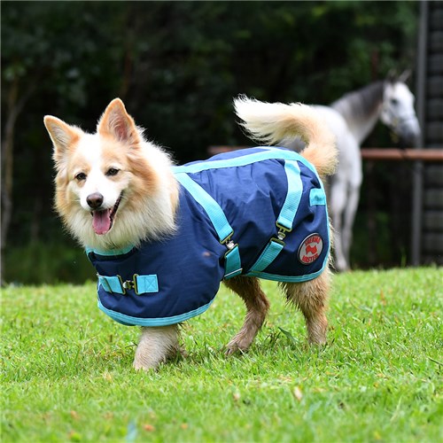 Thermo Master Supreme Dog Coat - Navy/Baby Blue - Image 3