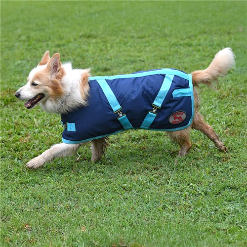 Thermo Master Supreme Dog Coat - Navy/Baby Blue - Image 7