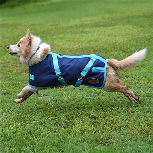 Thermo Master Supreme Dog Coat - Navy/Baby Blue - Image 5
