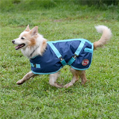 Thermo Master Supreme Dog Coat - Navy/Baby Blue - Image 6