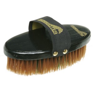ShowMaster Senior All Purpose Grooming Brush