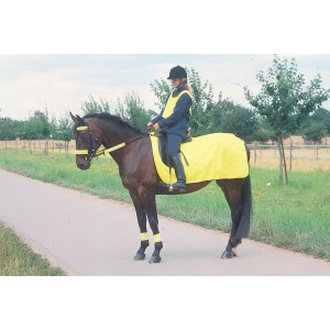 Night Rider Pullover