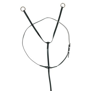 Horse Sense Race Martingale