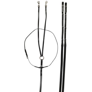 Horse Sense Training Control Martingale and Rein Set