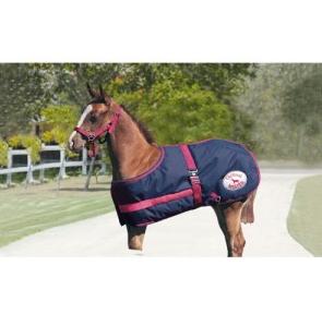 Thermo Master Growing Foal Rug