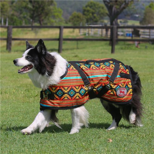 Thermo Master Supreme Dog Coat - Nicoma - Image 5