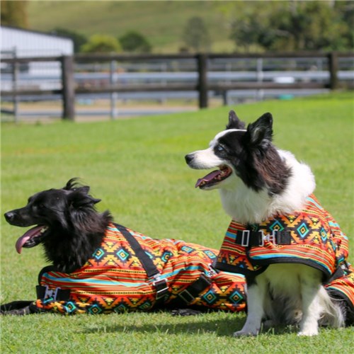 Thermo Master Supreme Dog Coat - Nicoma - Image 3
